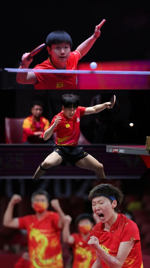 乒乓球世界杯高清直播·精彩赛事全程直击